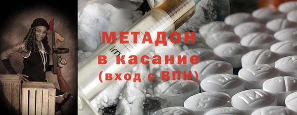 гашик Алексин