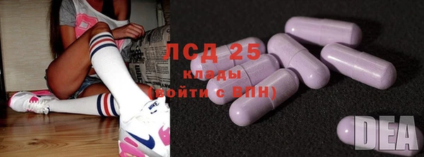 гашик Алексин