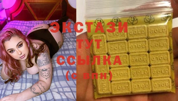гашик Алексин
