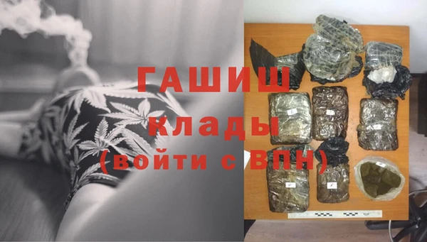 гашик Алексин