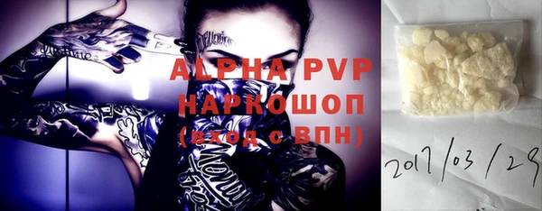 гашик Алексин